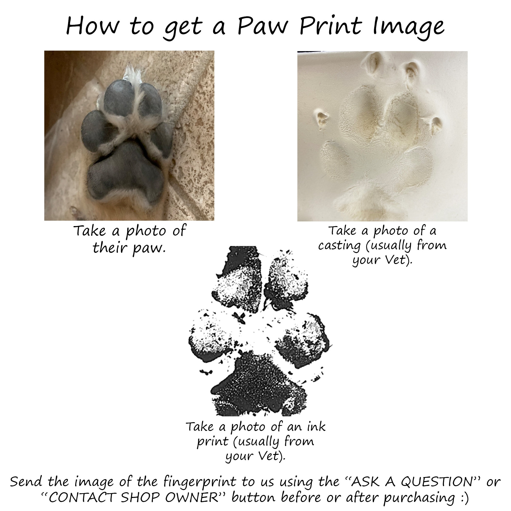 cat paw print real