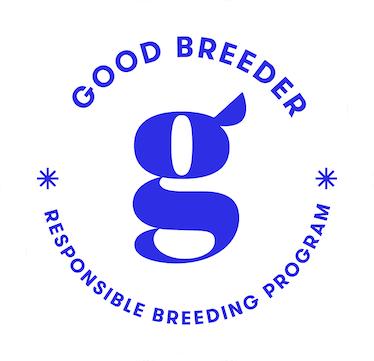 good dogs website