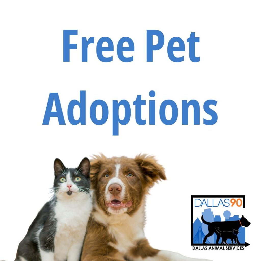 local dog rescue groups