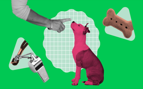 best dog training apps 2025