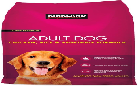 best dog food available