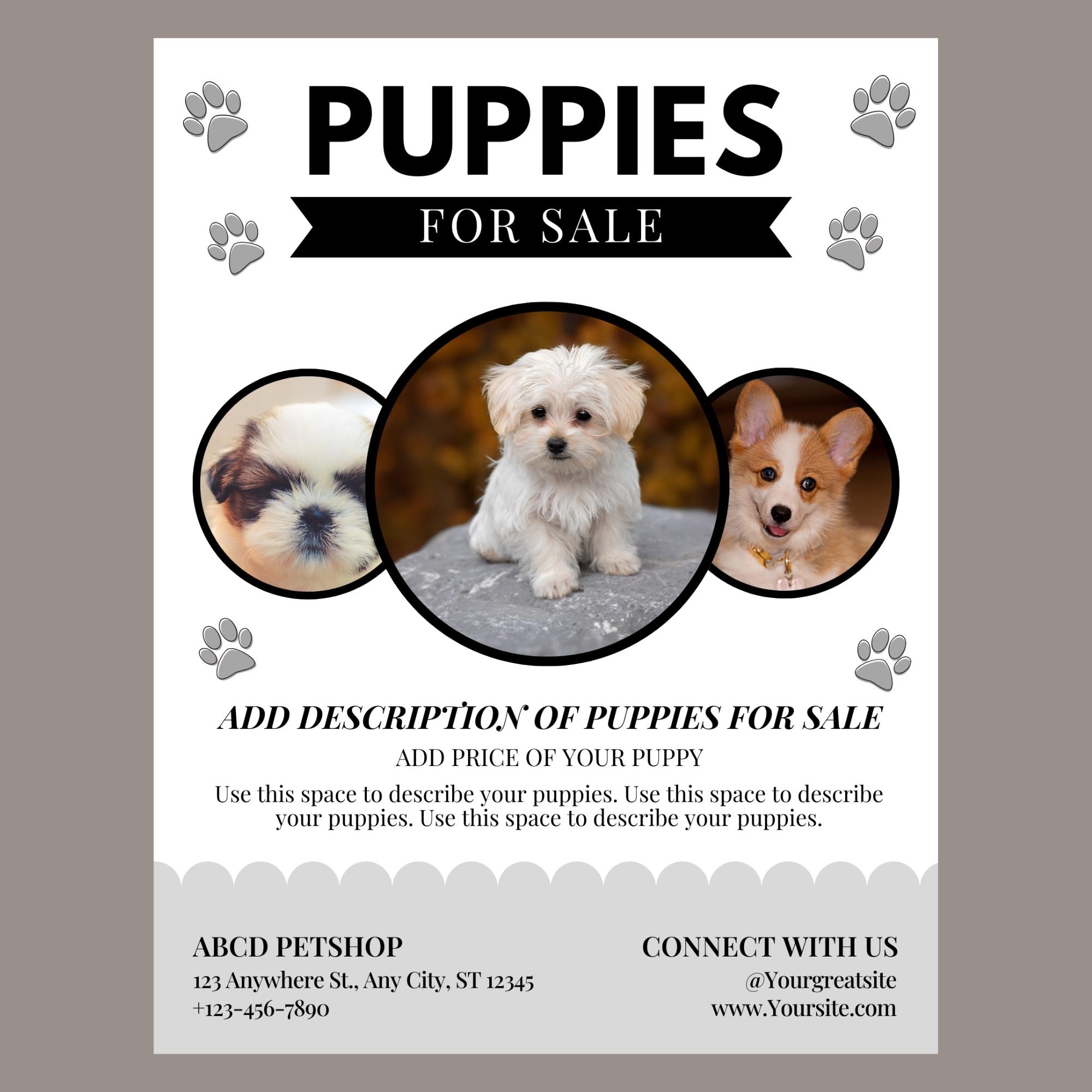 puppy advertising