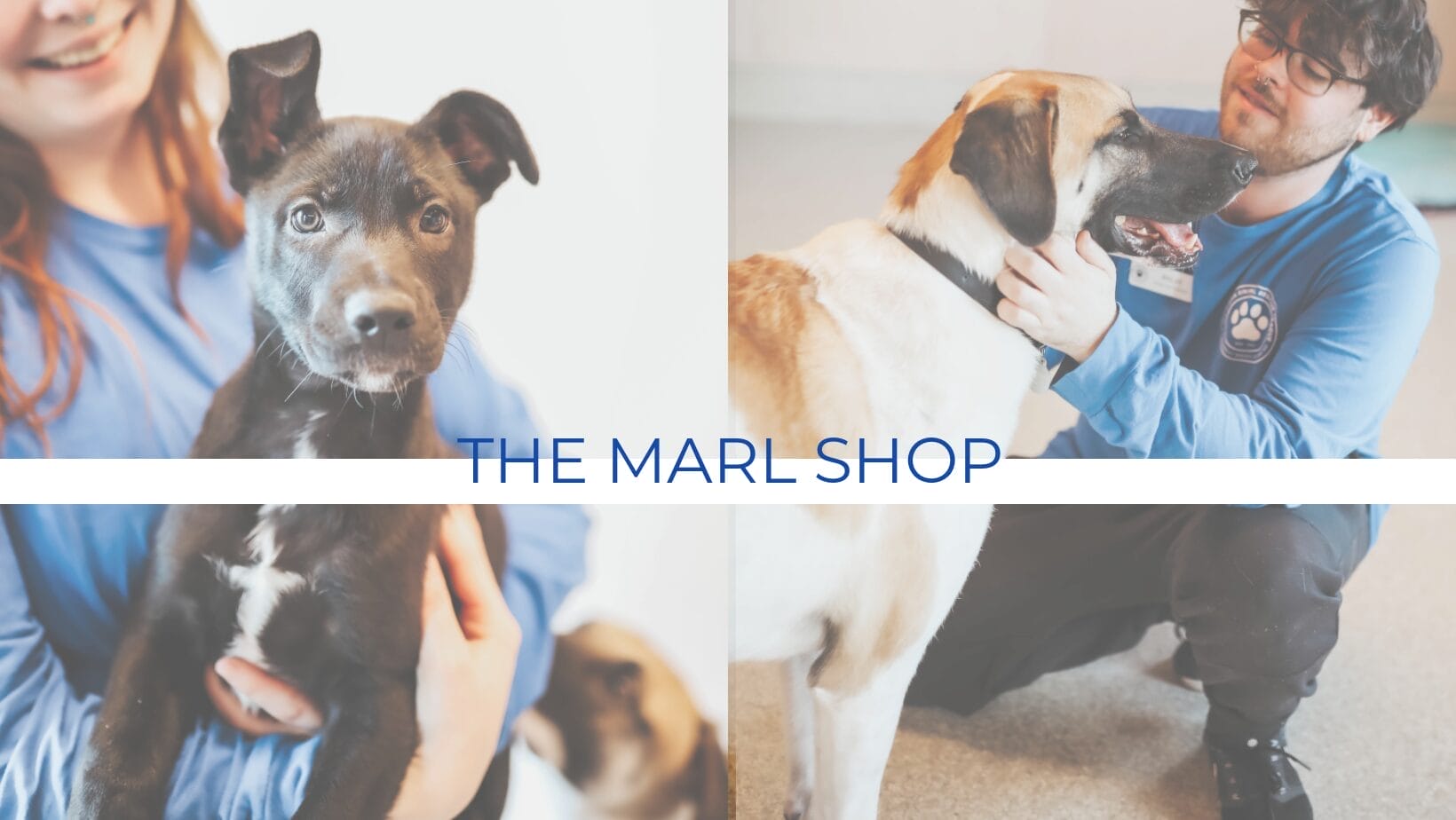 animal rescue shopping site