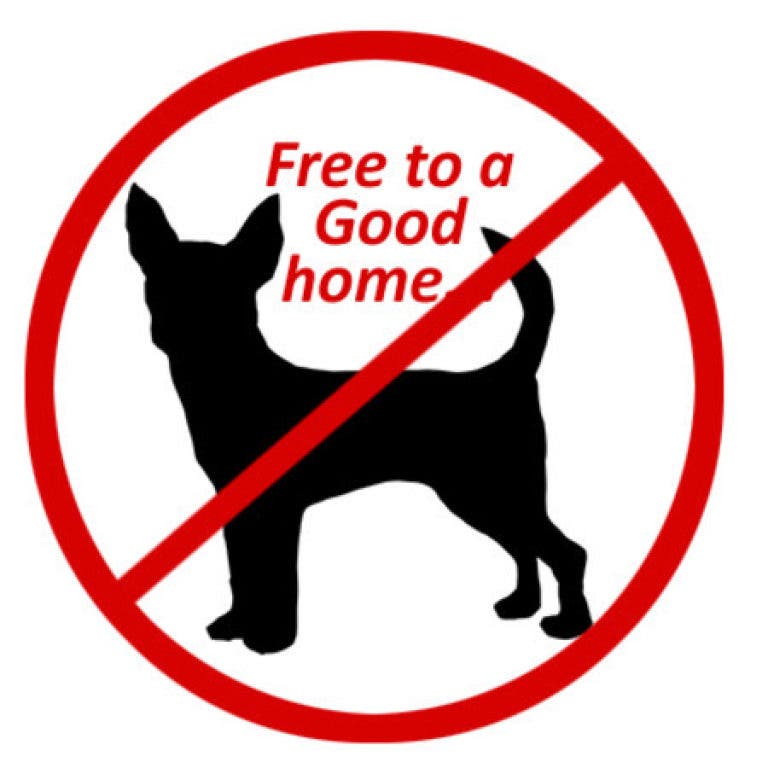 dogs free to a good home