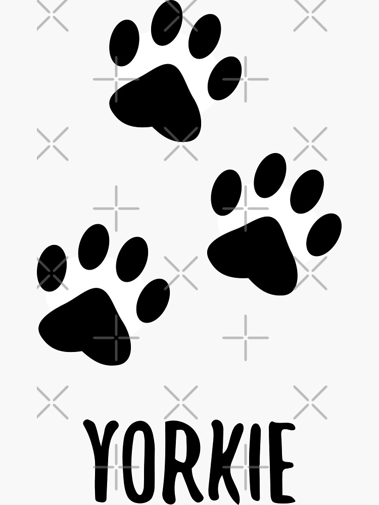 yorkshire terrier paw print