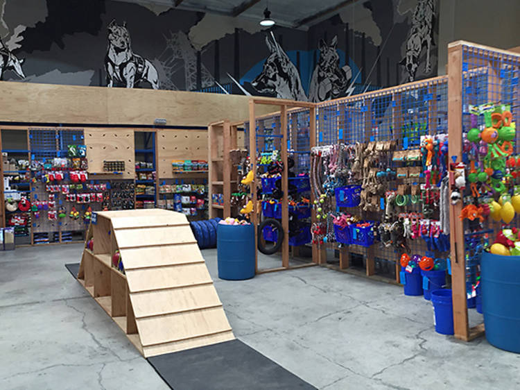 pet store los angeles puppies