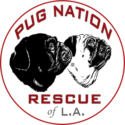 la pug rescue