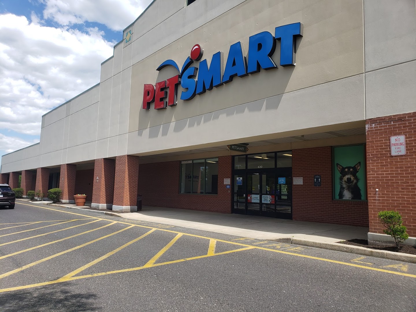 petsmart in my area