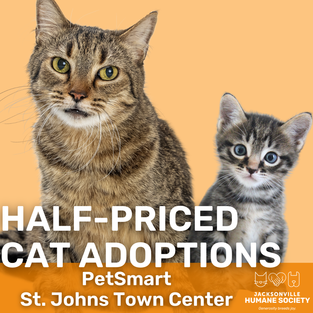 how much is a kitten at petsmart