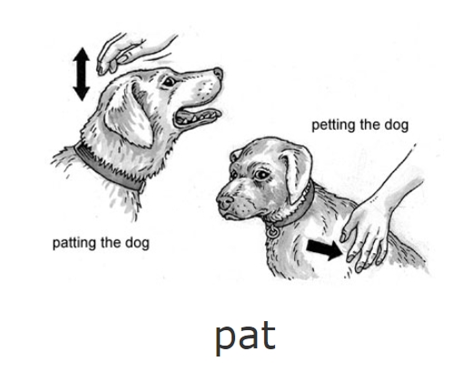 pat a dog