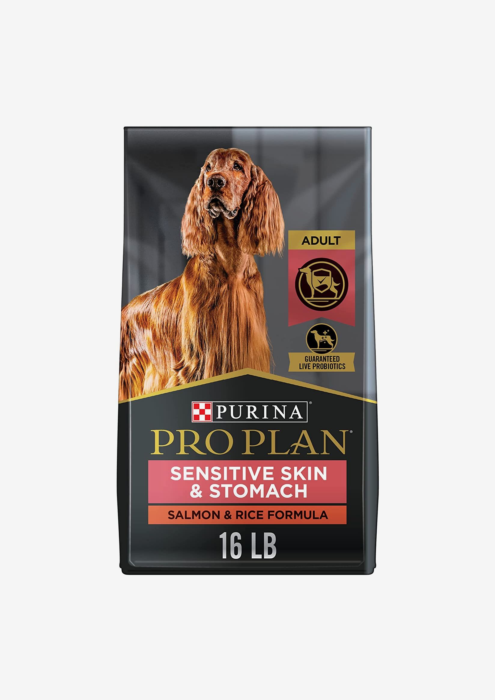 best dog food available