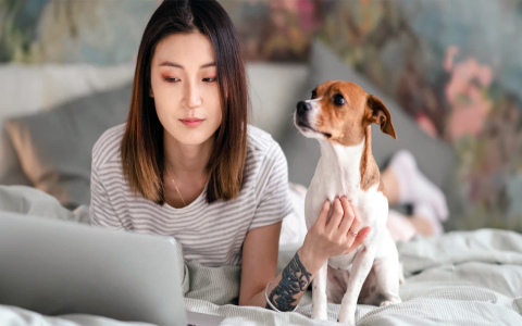 websites like craigslist for pets