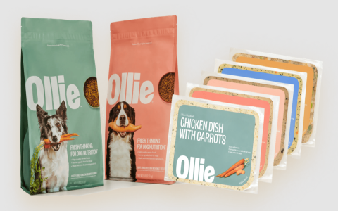 best dog food service