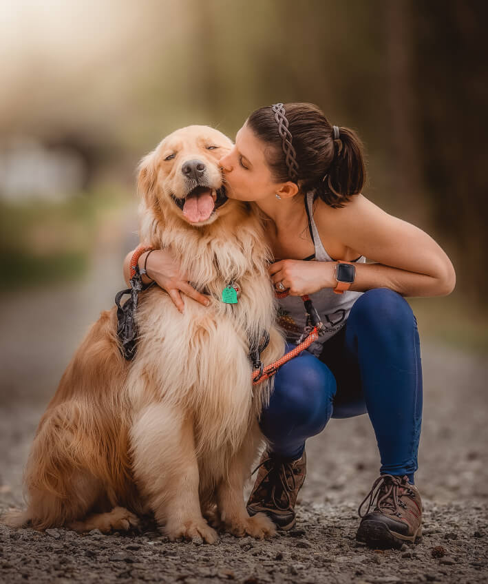golden retriever adoption florida