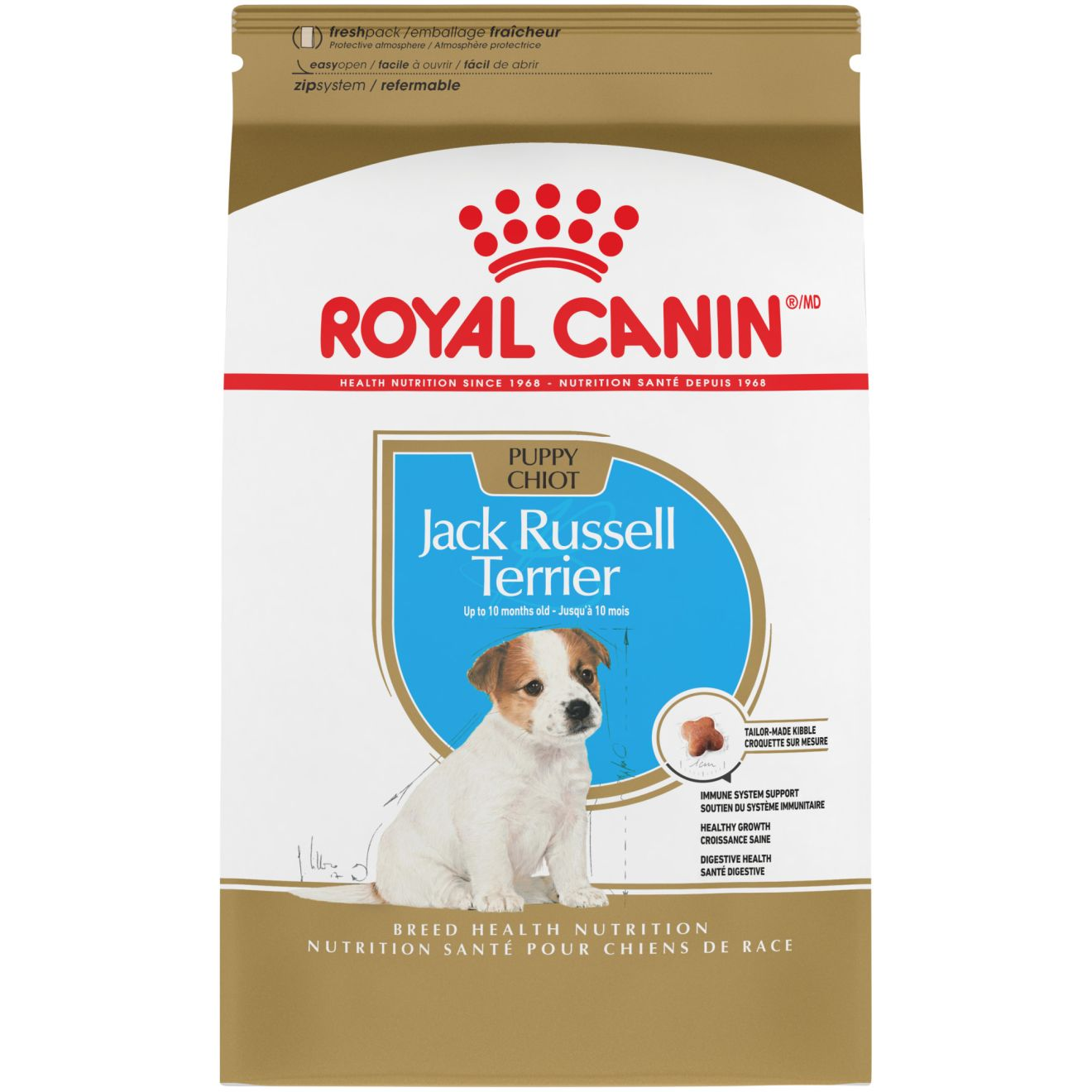 best dog food for jack russells