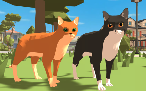 find the cat picture