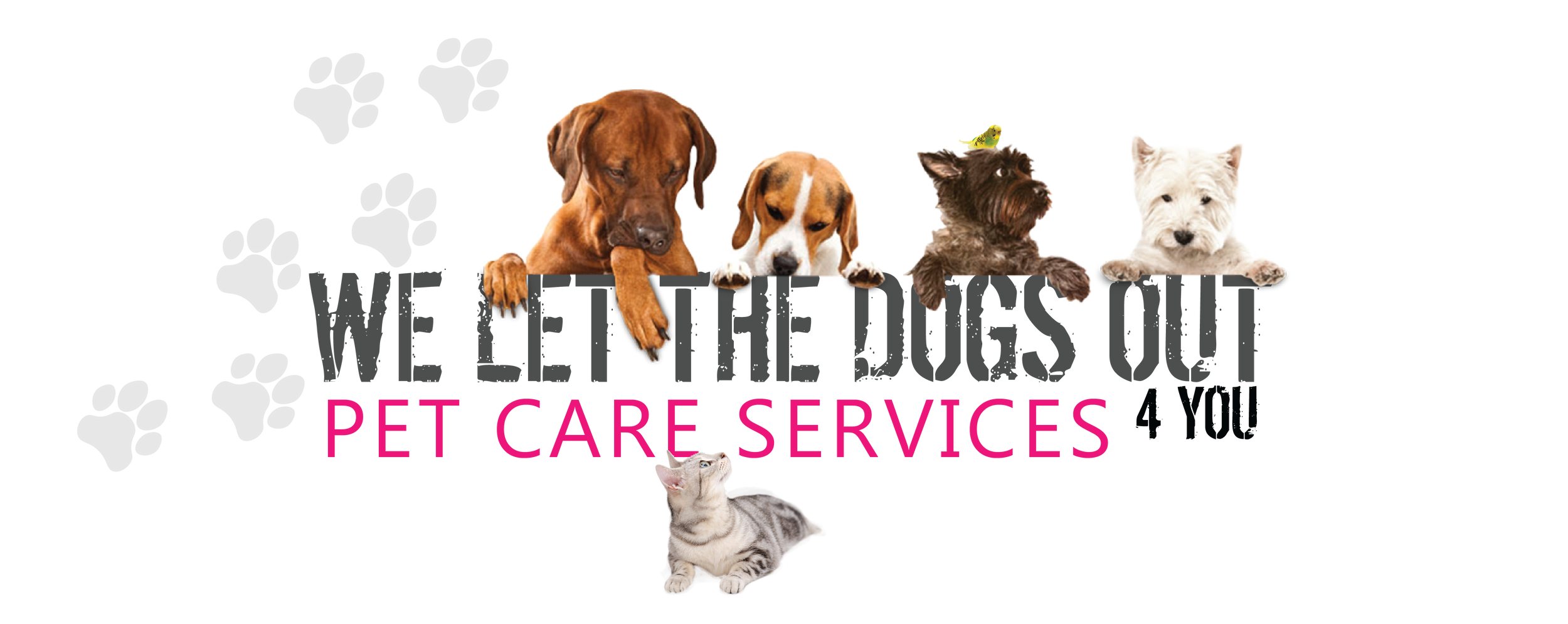 dog let out service near me