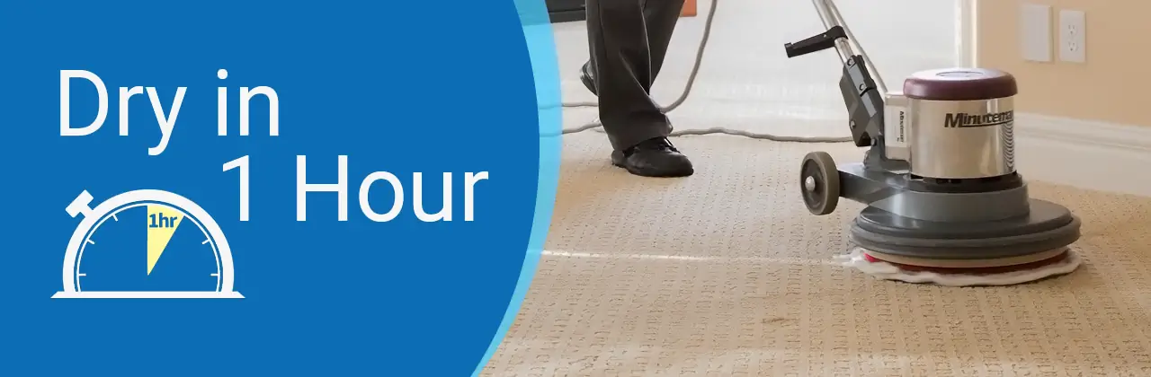 carpet cleaning bluffton sc