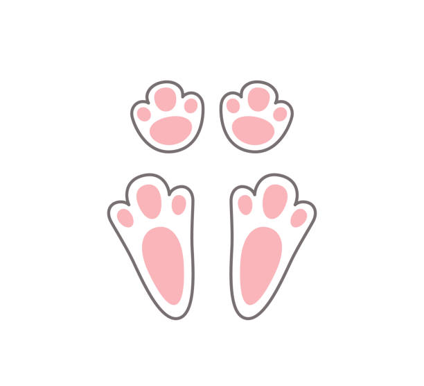 bunny print paw