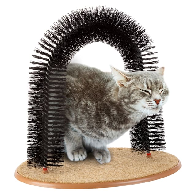 petco grooming cat