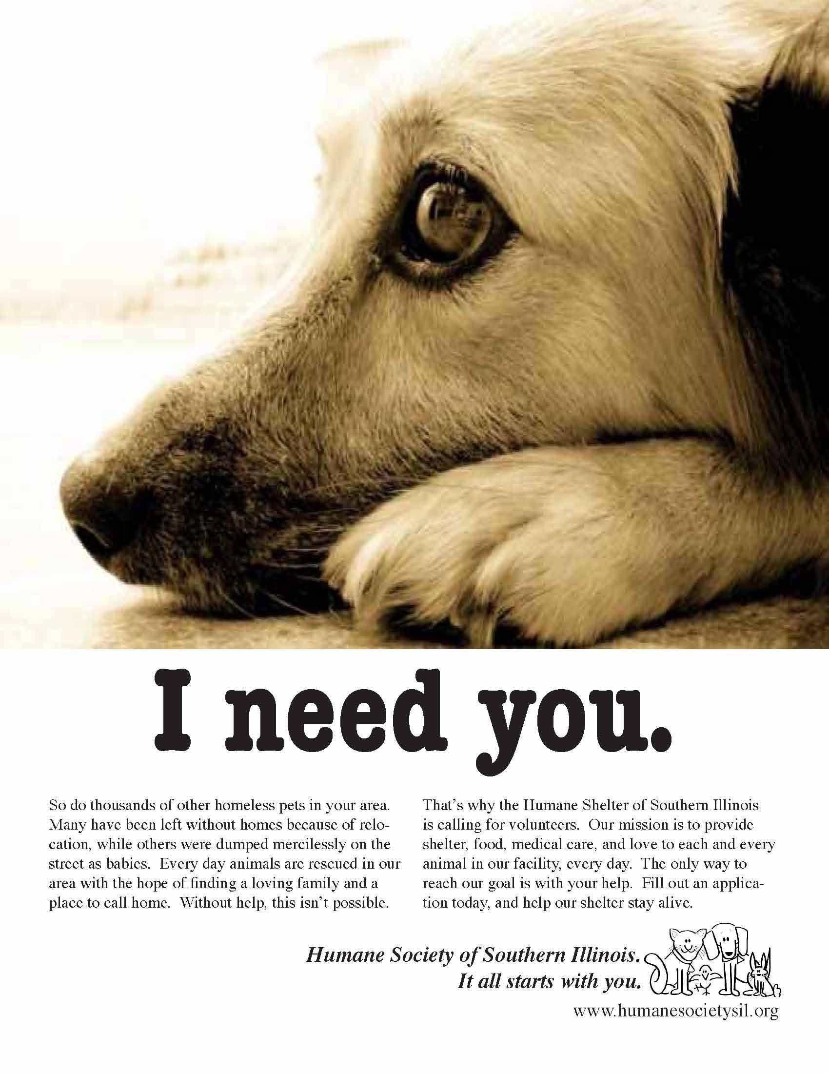 dog shelter ad