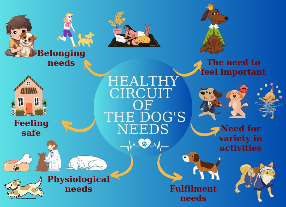 dogs needs