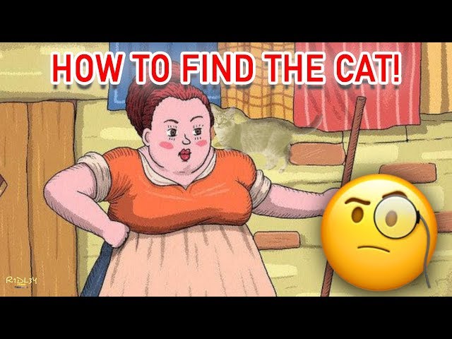 find the cat picture