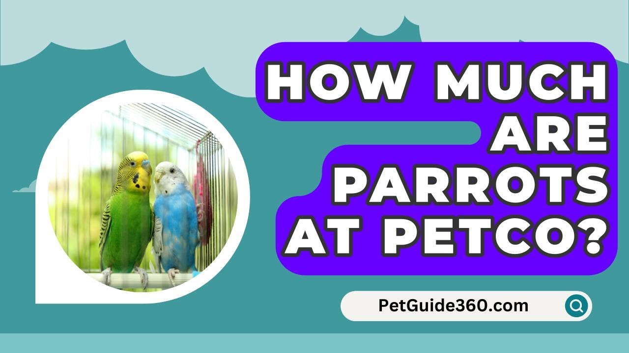 how much do parrots cost at petco
