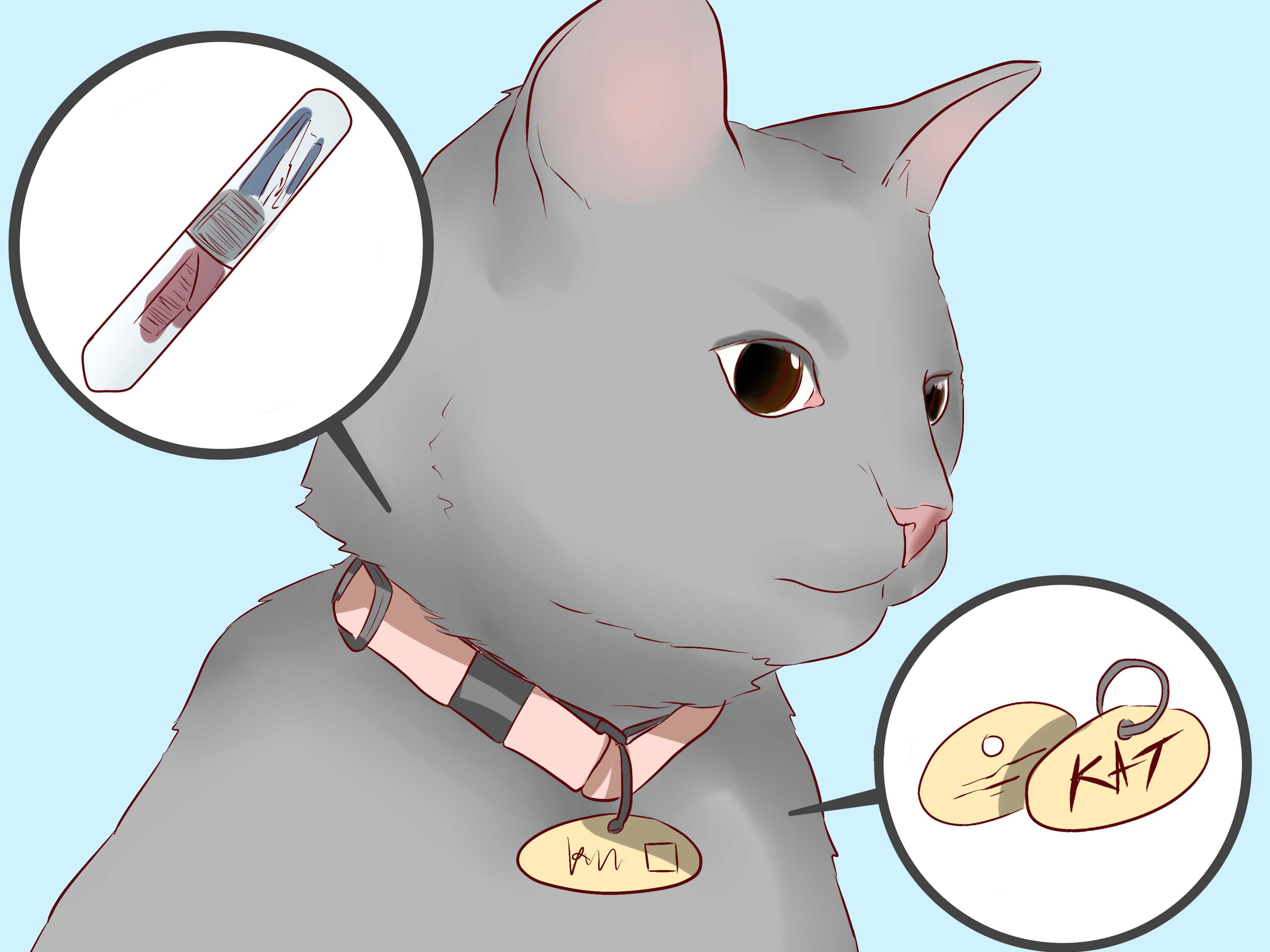 how to find your cat in the house