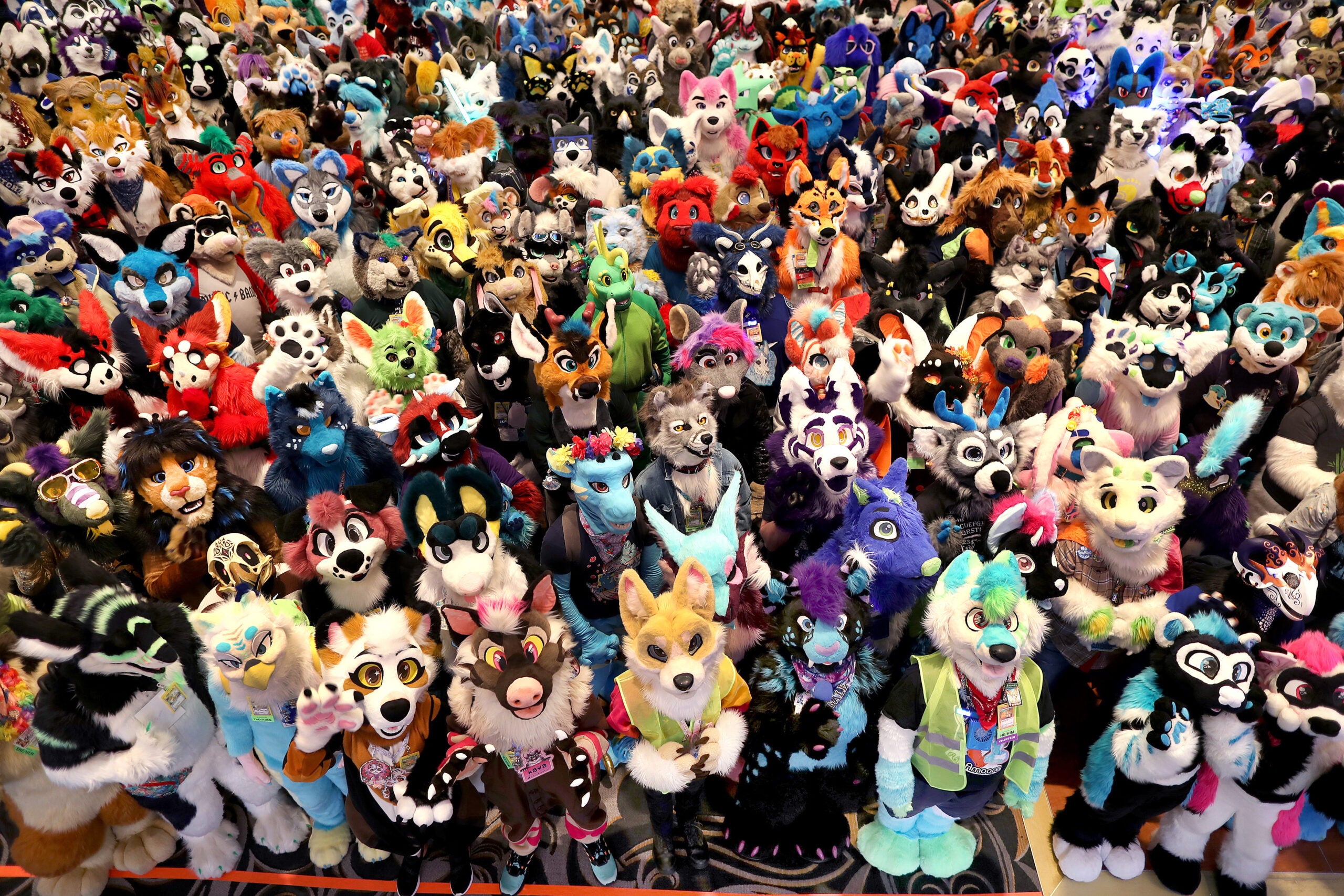 boston furry convention