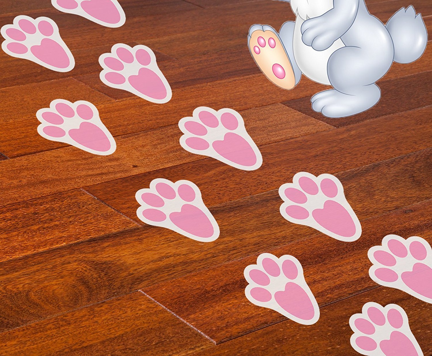 bunny print paw