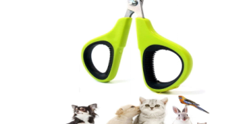 petco grooming for cats