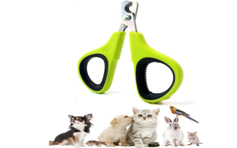 petco grooming for cats