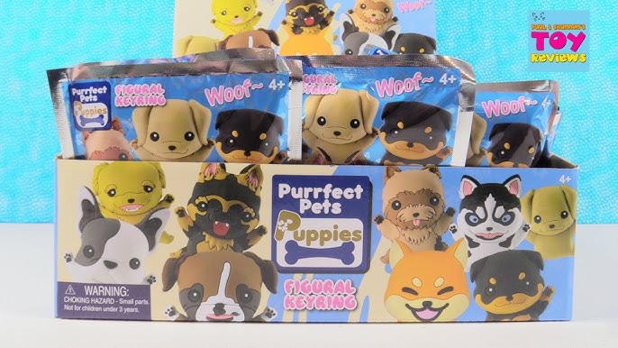 picture purrfect pets