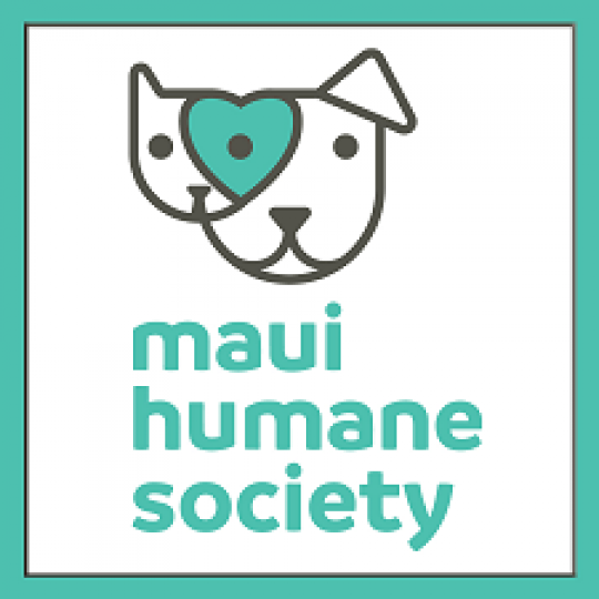 maui animal shelter