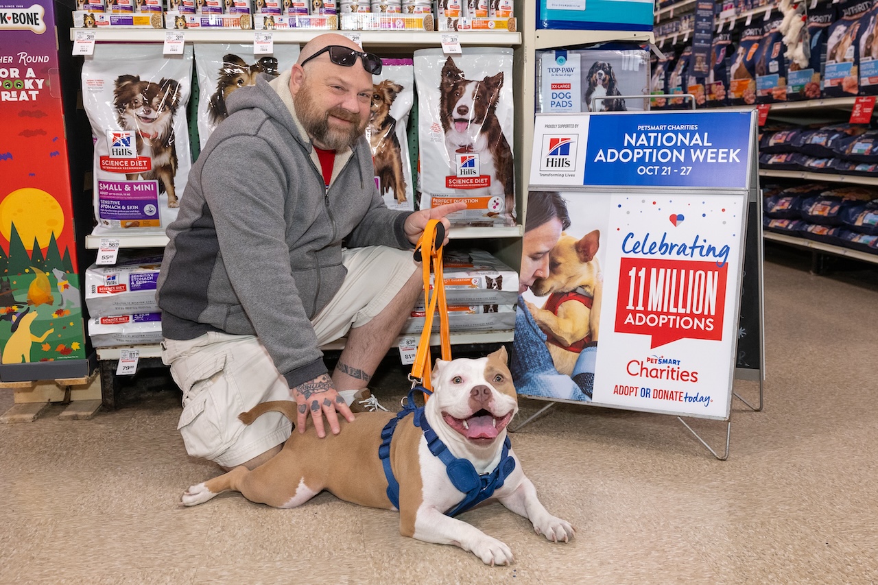 adoptions made easy petsmart
