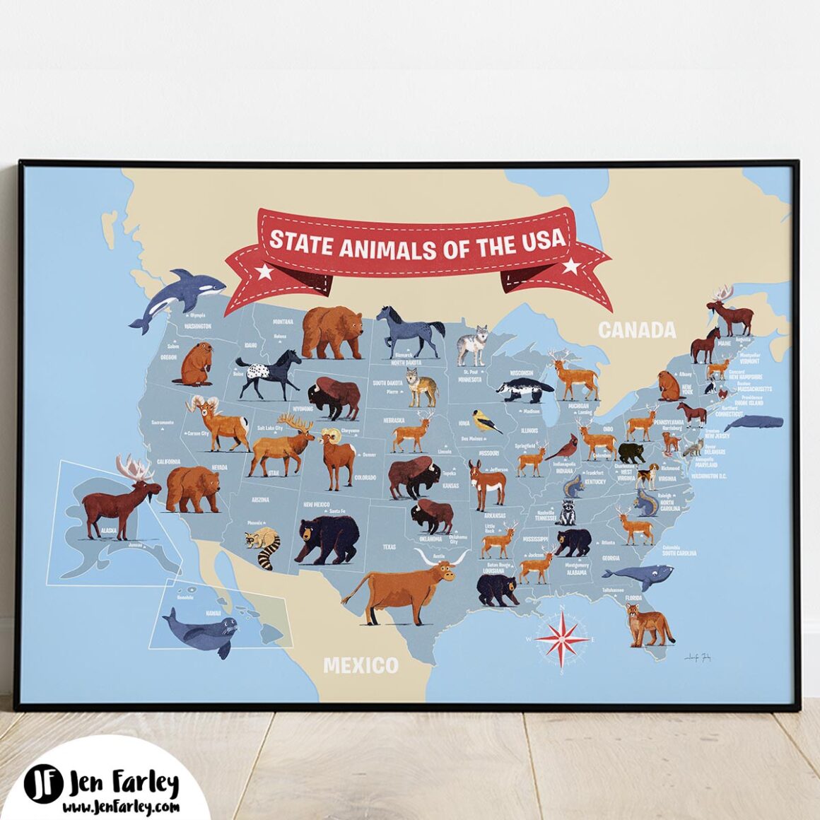usa animals.com