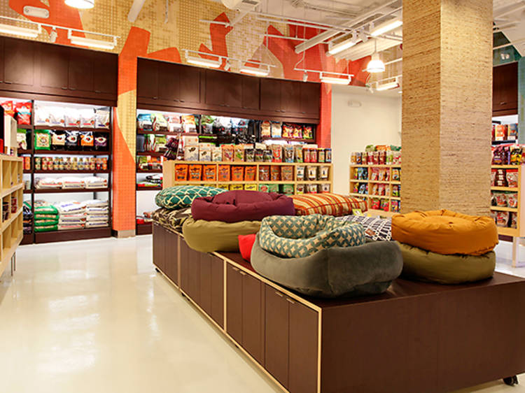 pet store los angeles puppies