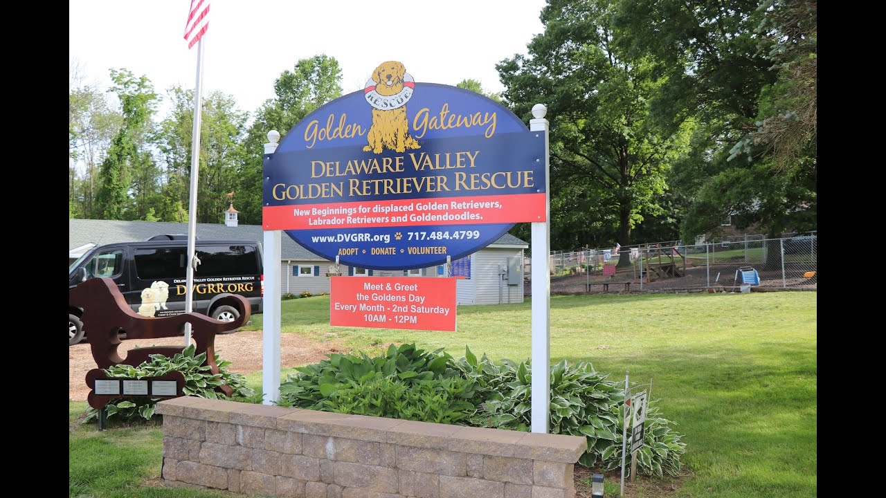 golden retriever rescue de