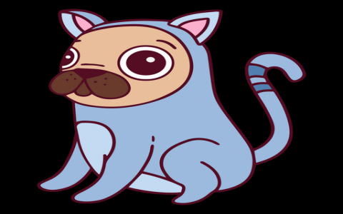 pug cat
