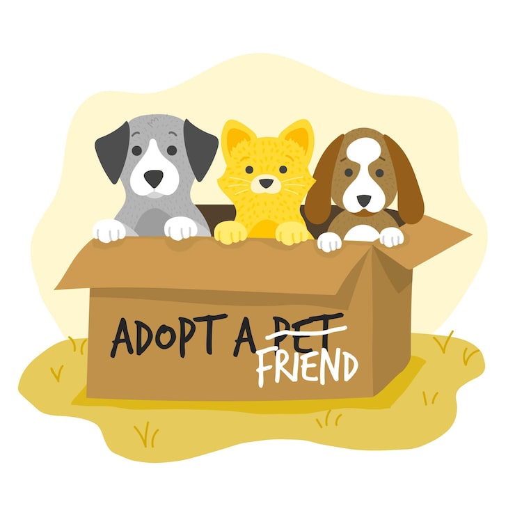 adopt a friend