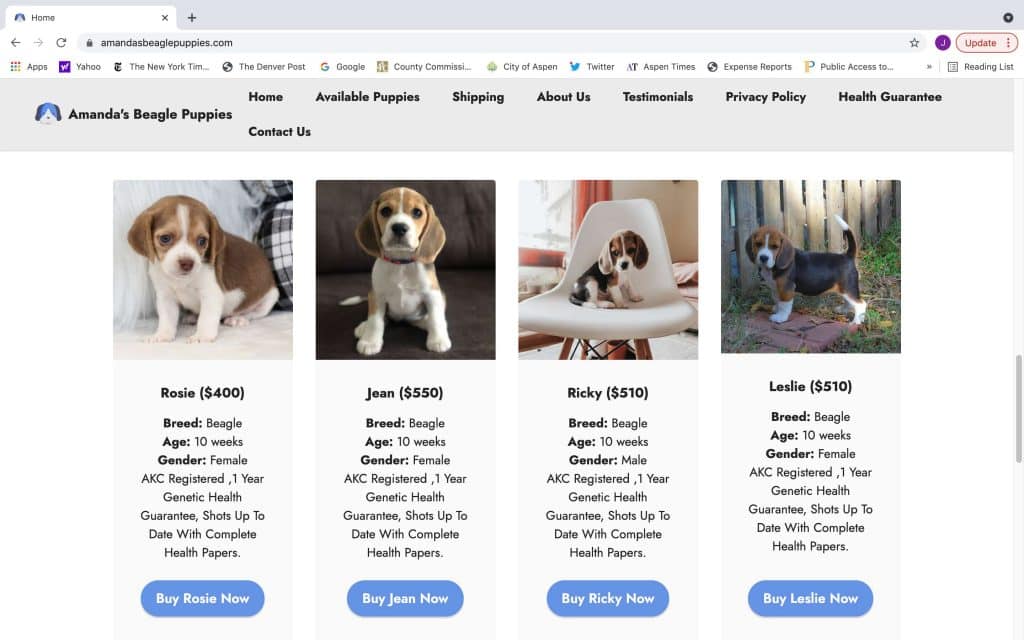 dog buying sites