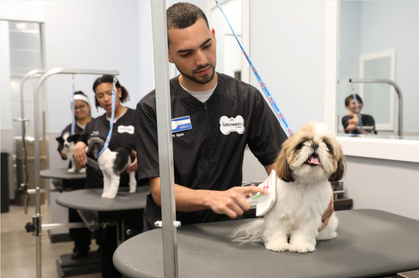 petsmart dog groomer