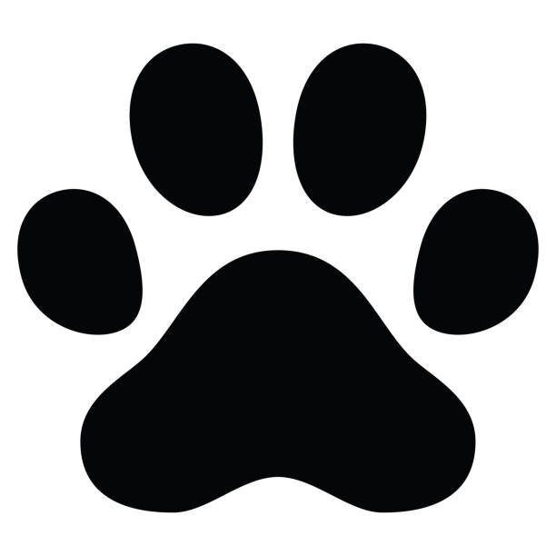 cat paw print images