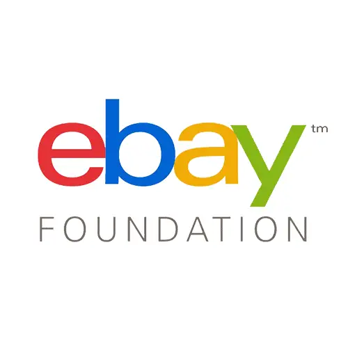 foundation ebay