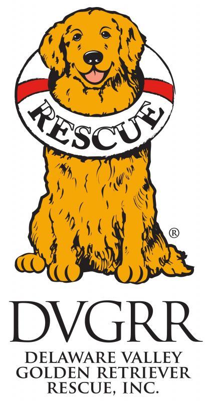 golden retriever rescue de