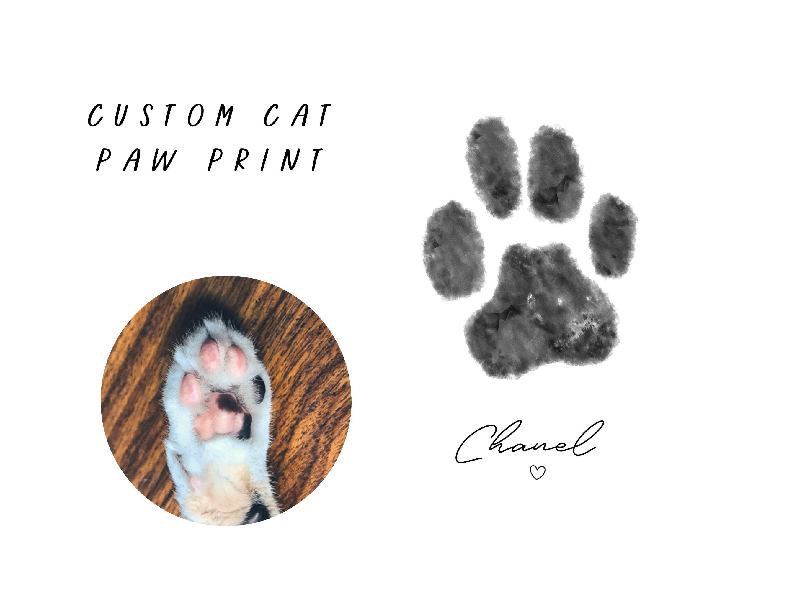 cat paw print real