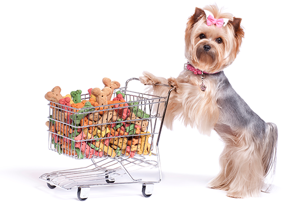 best online pet stores