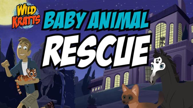 baby animal rescue