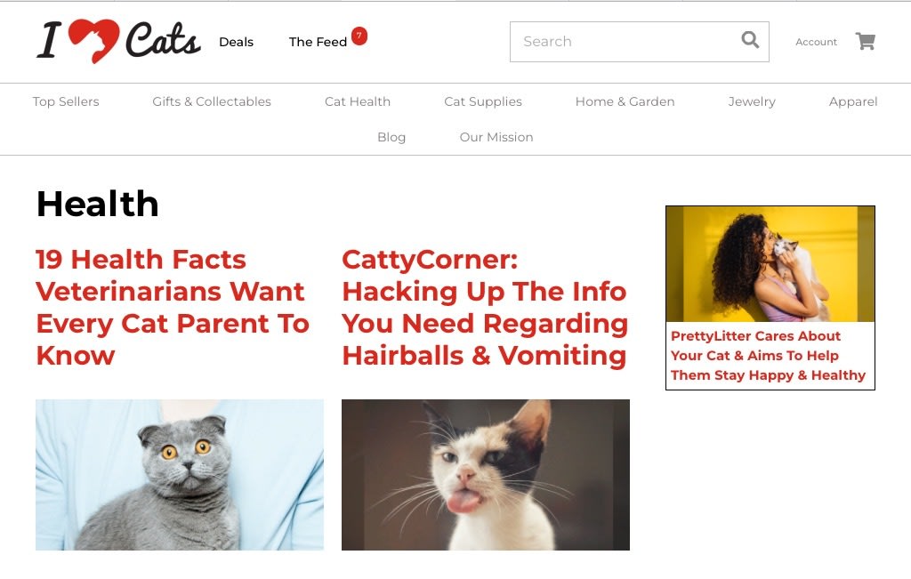 cat websites for cats